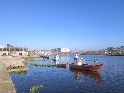 Clube Fluvial Vilacondense - Sports complex in Vila do Conde, Portugal