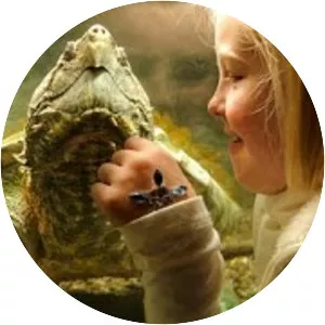 Clyde Peeling's Reptiland