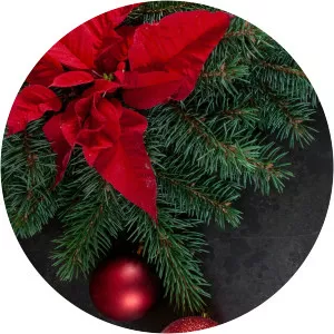 CMT Music Videos: Countdown to ChristmasSince 2020 - TV program