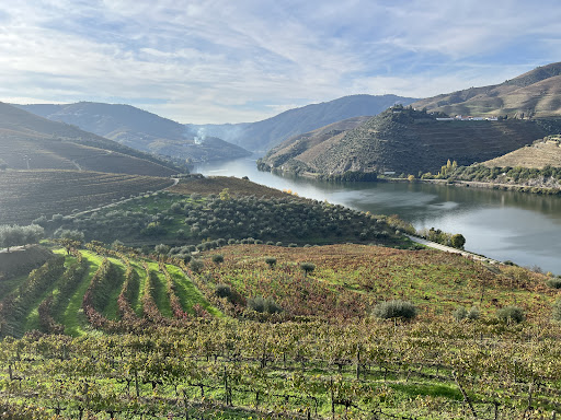 CMTOUR - Douro Valley Tours - Sightseeing tour agency in Peso da Regua, Portugal