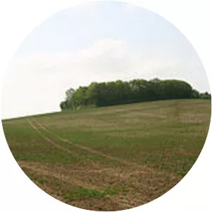 Cnut the Great's invasion of England