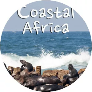 Coastal Africa - TV program