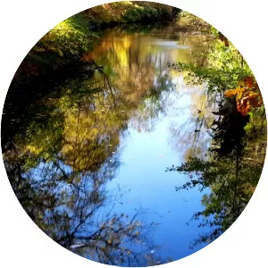 Cobbs Creek - Tributary in Pennsylvania