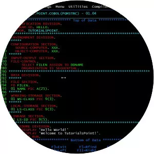 COBOL - Computer programming language