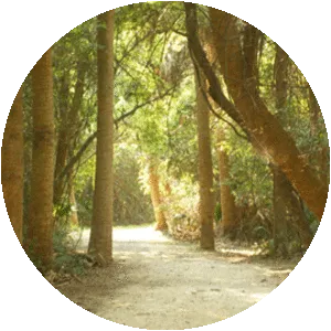 Cockspur Island - Island in Georgia