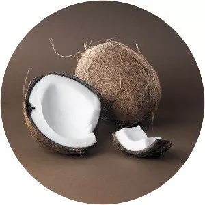 Coconut