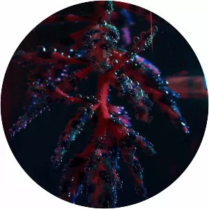 Cocoon Crush - Album by Objekt
