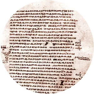 Codex Marianus - Book