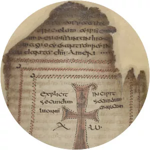 Codex Usserianus Primus - Book