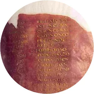 Codex Veronensis - Book