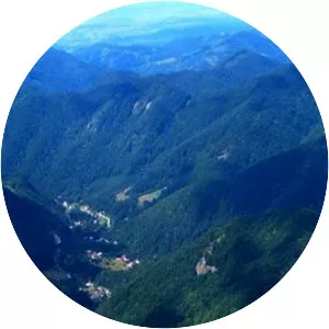 Codru-Moma Mountains