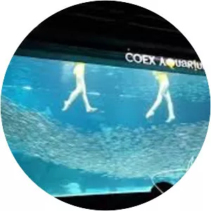 Coex Aquarium