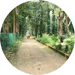 Coffee Garden Daringbadi