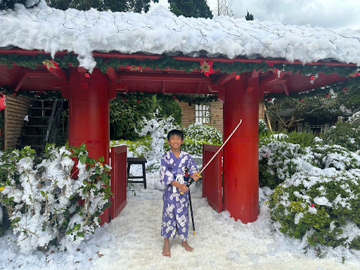 Coffee view Nam Ha photograph