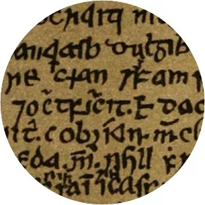 Cogad Gáedel re Gallaib - Book