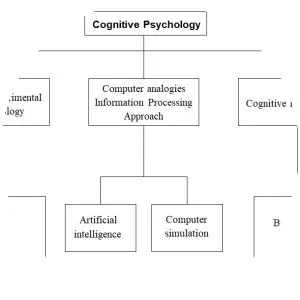 Cognitive psychology