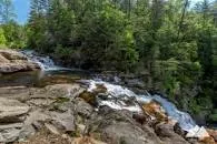 Cohutta Wilderness - 