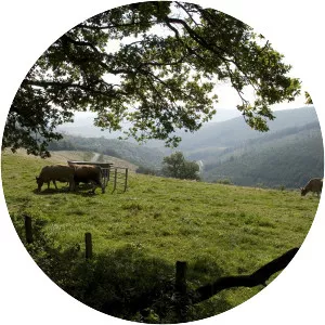 Col de la Sibérie - 