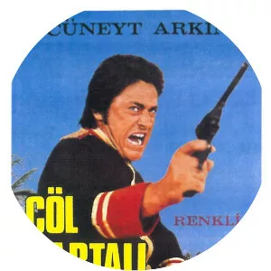 Çöl kartali (Çöl Kartalı)