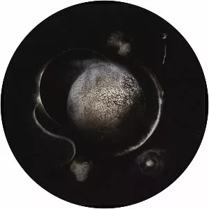 Cold Black Suns - Album by Enthroned