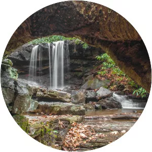 Cole Run Falls - Waterfall