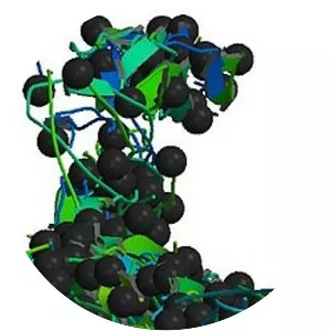 Collagen, type I, alpha 1 - Protein