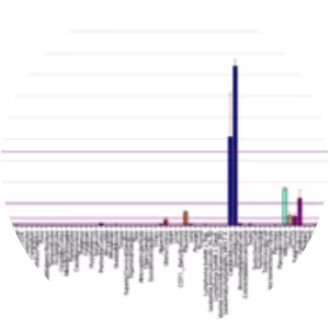 Collagen, type V, alpha 2 - Protein