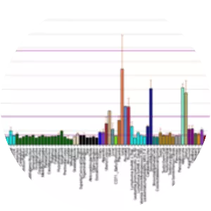 Collagen, type VI, alpha 2 - Protein