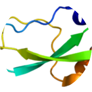 Collagen, type VI, alpha 3