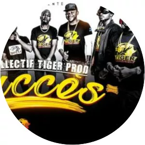 Collectif Tiger Prod - Musical artist