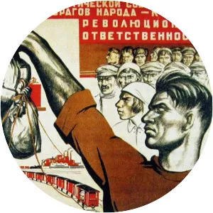 collectivization in the Soviet Union - 