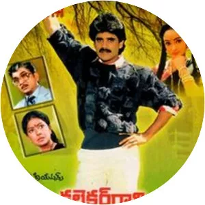 Collector Gari Abbai