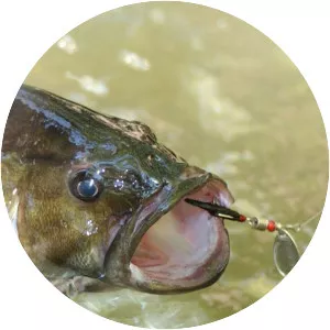 College Fishing - TV program