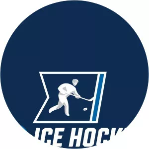 College HockeySince 2000