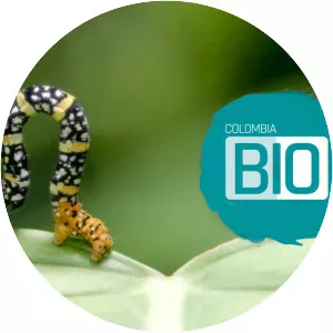 Colombia bio - TV program