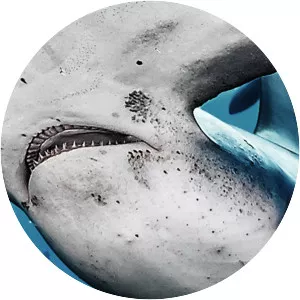 Colombia's Wild Coast - TV program