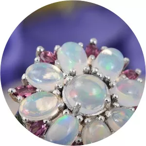 Colors of Opal - TV program