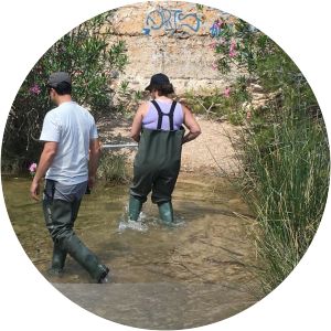 columbares rambla del puerto de la cadena - 