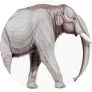 Columbian mammoth