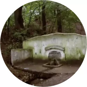 comana natural park fantana cu nuc