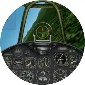 Combat Flight Simulator 2