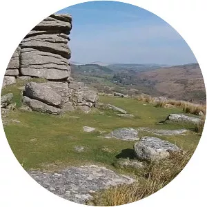 Combestone Tor