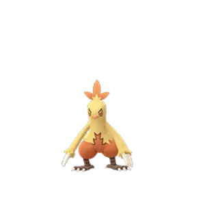 Combusken photograph