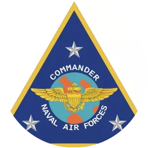 Commander, Naval Air Forces photograph