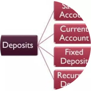 Commercial bank - Organization type