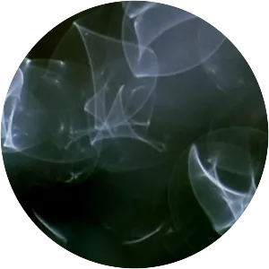 Commingled Containers