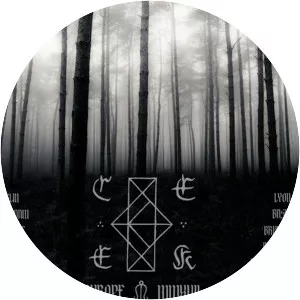 Common Eider, King Eider