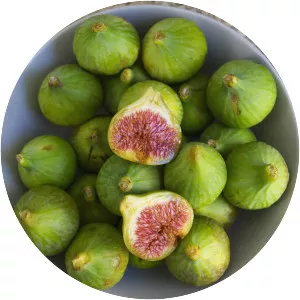 Common fig