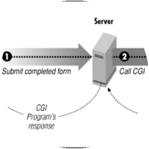 Common Gateway Interface - Protocol