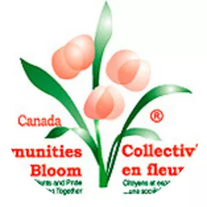 Communities in Bloom - Non-profit organization